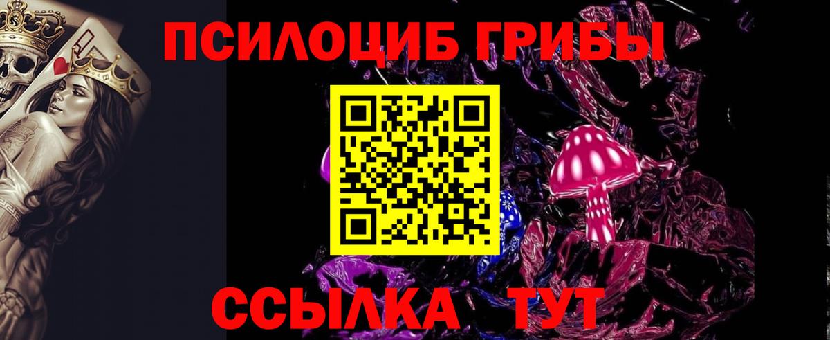 Псилоцибиновые грибы Cubensis Благодарный
